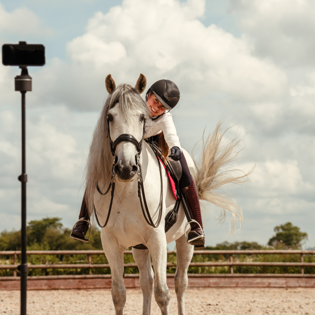 Pivo Equestrian Lite Purple