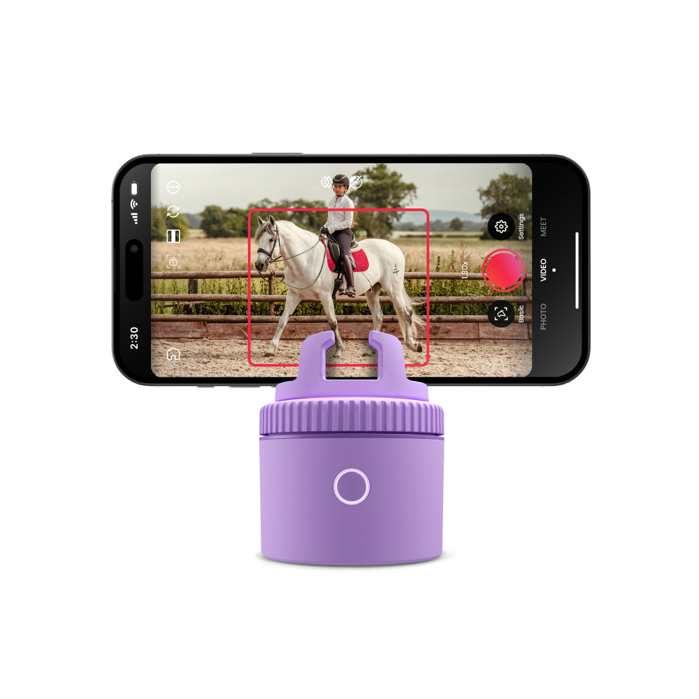 Pivo Equestrian Lite Purple
