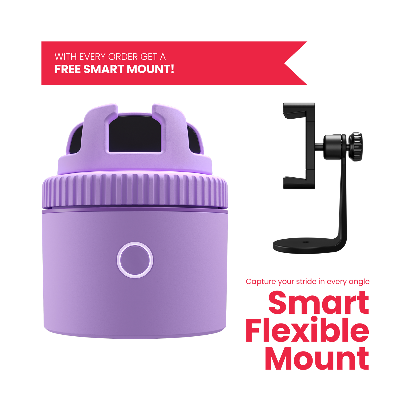 Pivo Equestrian Lite Purple